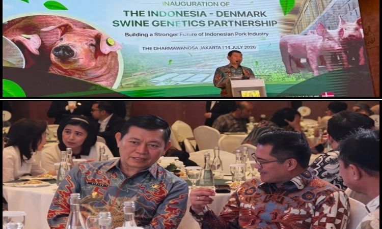 Negara Denmark Jalin Kemitraan Dengan Minahasa Utara Terkait Investasi Genetika Peternakan
